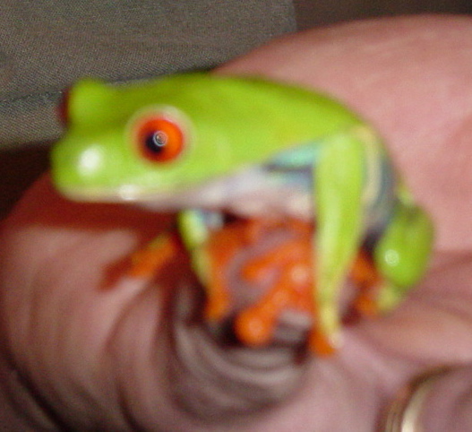 DSC03365.JPG