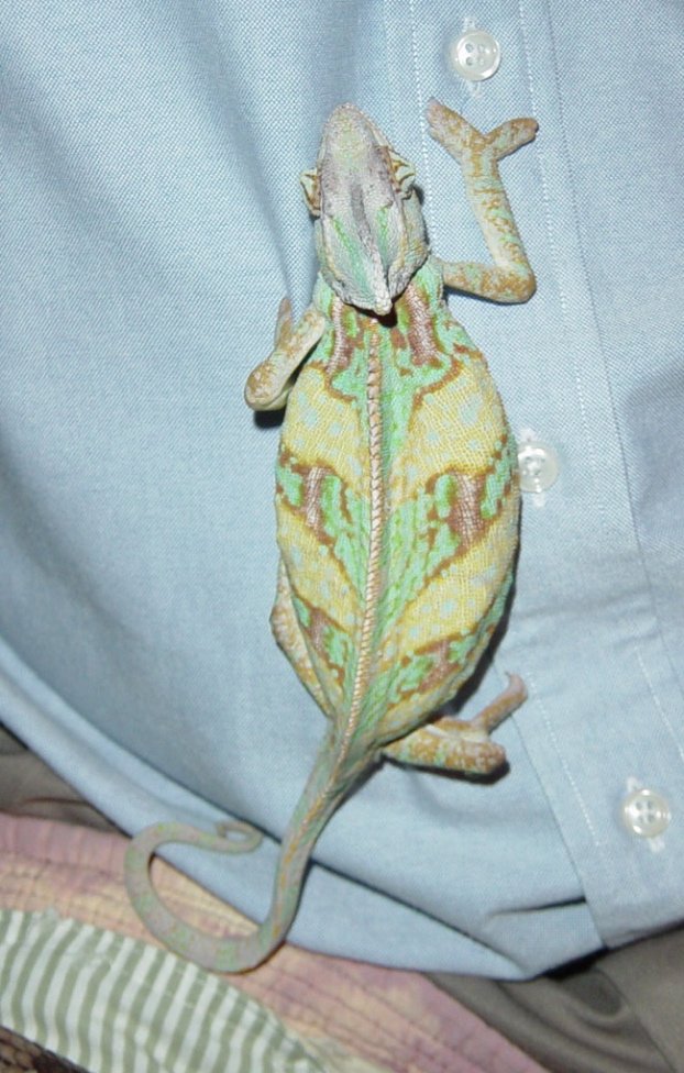 DSC03346.JPG