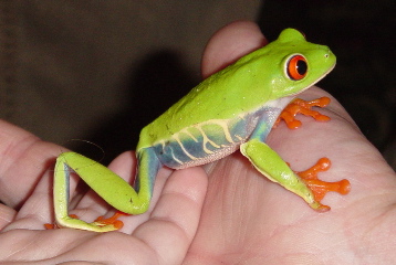 DSC03362.JPG