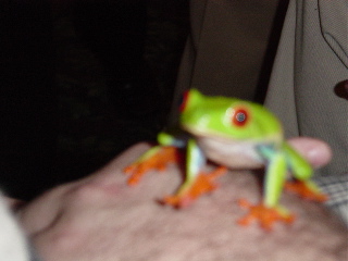 DSC03363.JPG