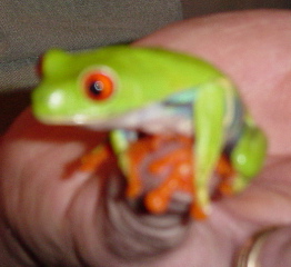 DSC03365.JPG