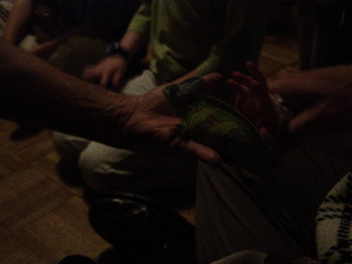 DSC03345.JPG